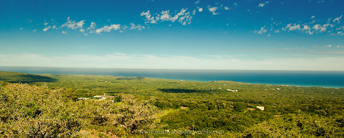 africa sea sky panorama game nature forest landscape nikon reserve seaview portelizabeth