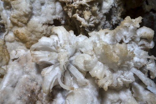 tn crystal tennessee formation mineral cave gypsum warrencounty cumberlandcaverns crystalchasm