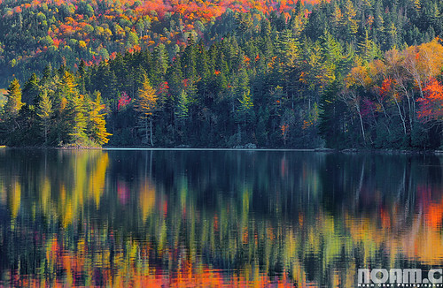 autumn trees usa lake reflection fall nature water colors forest season landscape scenery colorful view unitedstates maine newengland hdr noamchen נועםחן