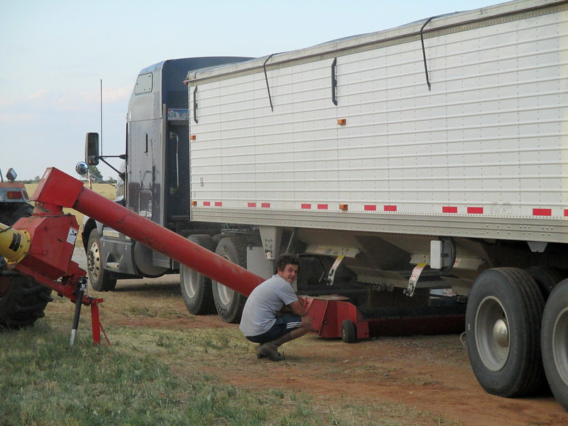 Theo watches his truck unloading into the auger JB
