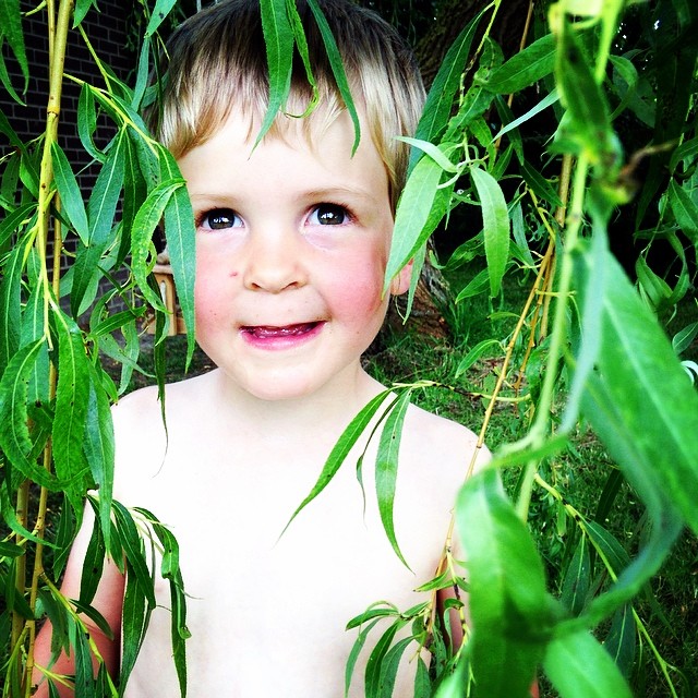 A willow jungle #capturingcolour