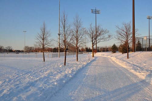 Parc Jarry en hiver