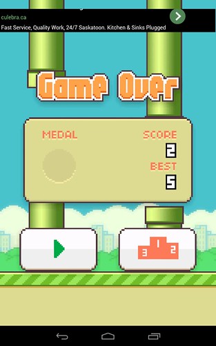 Flappy bird score