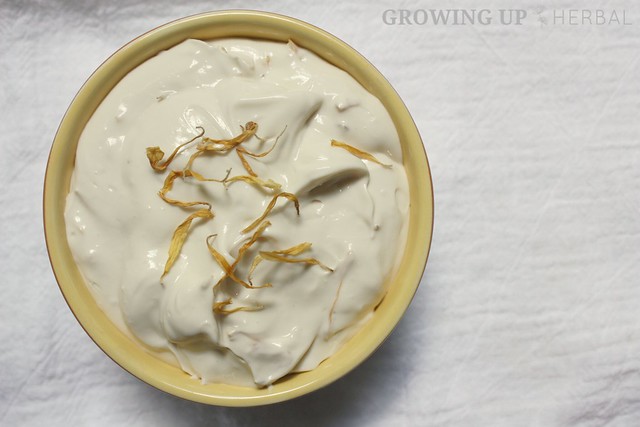 Calendula Cream Cheese Fruit Dip | GrowingUpHerbal.com | See how I use calendula in this delicious real food fruit dip!