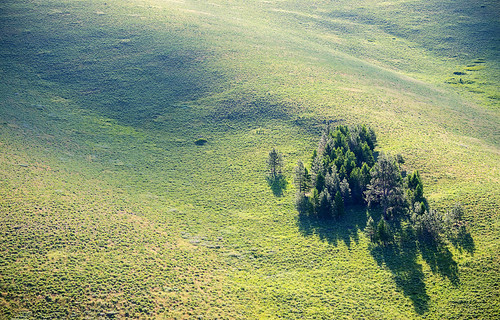 montana national bison range