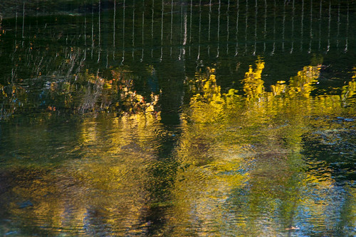 autumn newzealand christchurch water reflections river avon avonriver