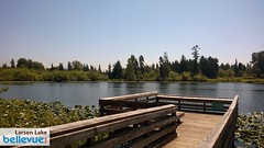 Larsen Lake | Bellevue.com