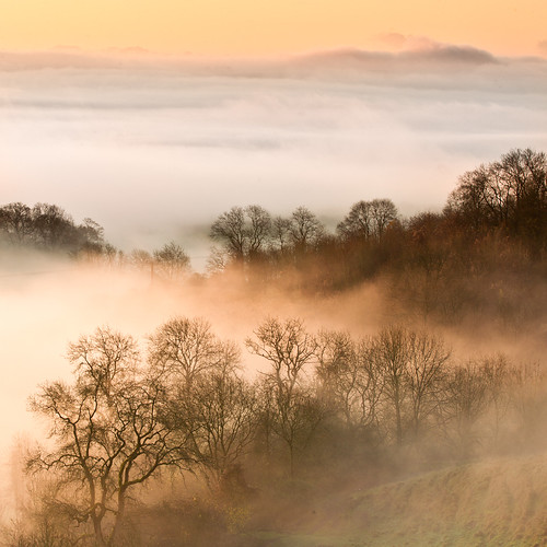 mist misty sunrise dawn wiltshire valeofpewsey martinsellhill