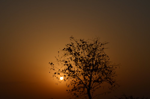 morning india sunrise desert nikond5100