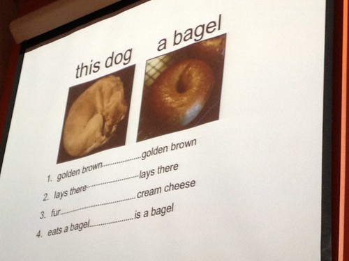 Ever compared a dog to a bagel ?