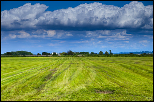 blue sky canada green field grass clouds rural landscape bc cut britishcolumbia farm delta cumulus hay puffy mowed zd graduatednd graduatedneutraldensity 1260mm olympuse3 eastdelta tyeechoice