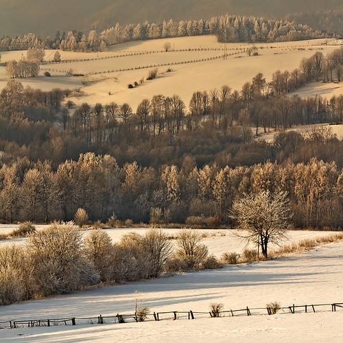 winter canon landscape canon50d cerastes1