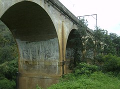 Knapsack Bridge