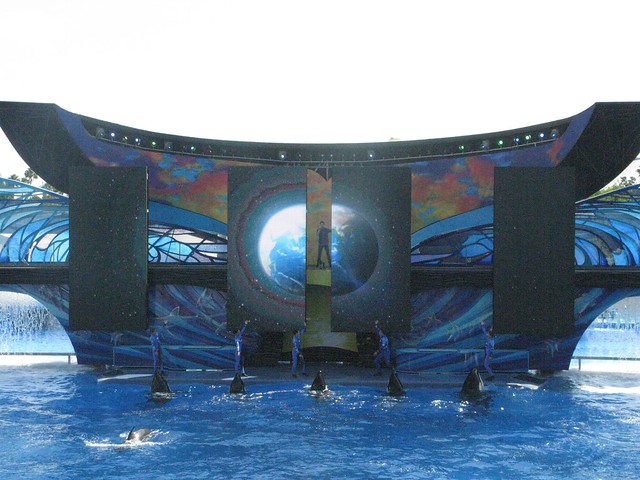 "One Ocean" debut at SeaWorld Orlando