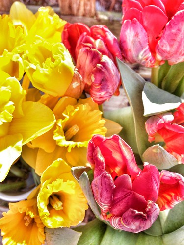easter lilies and tulips