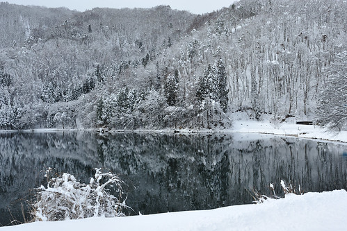 lake snow 雪 湖 中綱湖