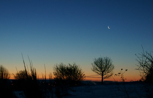 morning trees sky moon sunrise dawn durham