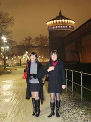 With Florence in Milan - The castle