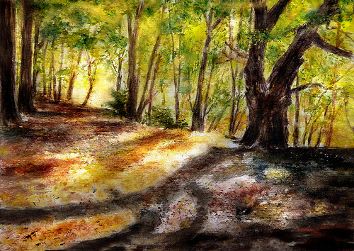 trees light nature leaves forest watercolor landscape gold