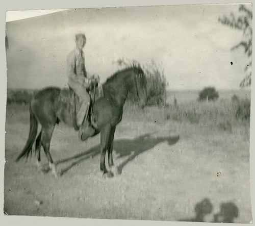 Man on a horse