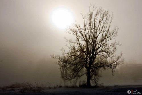 winter salzburg nebel goldegg