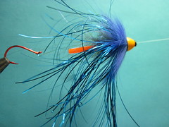 Blue Hoochi Winter steelhead pro tube fly 