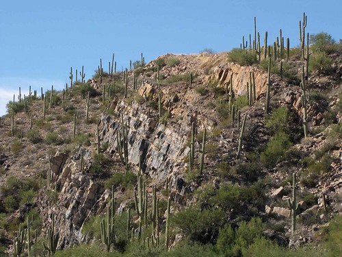 arizona usa mountains landscapes desert unitedstatesofamerica gps 2010 panoramio