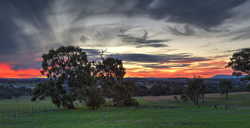sunset australia melbourne greenvale canon24105l canoneos6d woodlandshistoricpark woodlandshill
