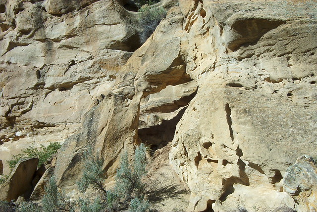 New Mexico Natural Arch NM-81