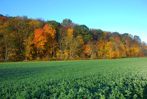 autumn color fall landscape pennsylvania southwesternpennsylvania