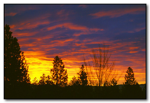 trees winter colors clouds sunrise washington spokane silhouettes solstice
