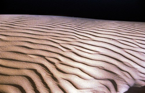 sand arena dunes dunas river nile rio nilo africa egypt egipto ericlópezcontini ericlopezcontini ericlopezcontinifoto ericlopezcontiniphoto ericlopezcontiniphotography wsrmatre wsrmatrephotography wsrmatrephoto ericlopezcontiniexportareamanager