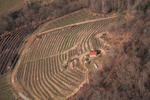above travel blue sky italy panorama orange lake green nature airplane landscape town flying high italia view wine earth top farm aviation aerial h2o fromabove piemonte piedmont cessna skyview birdeye aeronautic arona romagnano agricolture sesia