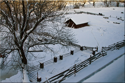 winter horse snow barn fence germany snowy brewery 100views icy corral altenburg 7887 altenburger