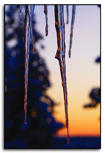 winter sunset washington spokane icicle