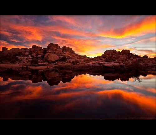 california sunset landscape fire nationalpark rocks desert scenic joshuatree hoodoo afterglow barkerdam underlight