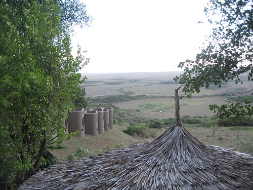 hotel safari savanna lodges maraserena safarilodge