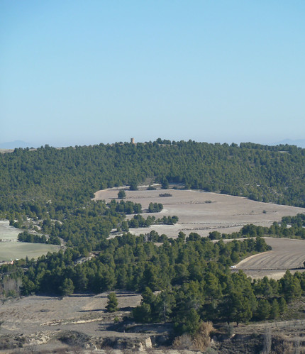 panorama españa spain torre paisaje murcia bosque pino pinar caravaca jorquera villaricos