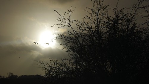 chaveywell wiltsberks ducks canals blip kx 50200 sunset pentax zoom
