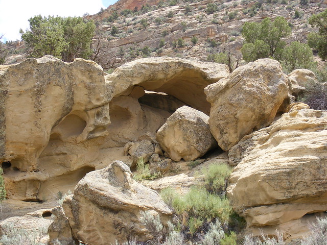 New Mexico Natural Arch NM-51 Eyebrow Arch