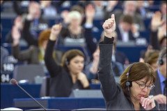 Parliament adopts EU budget for 2011
