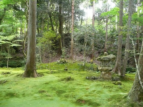 Japanese Moss Garden