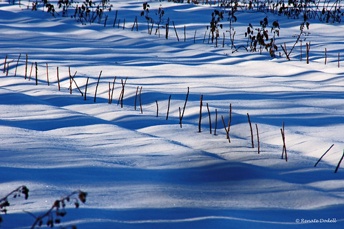 schnee winter shadow snow lines schatten streifen oberland weilheim linien dorenawm