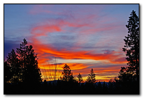 trees colors clouds sunrise washington spokane silhouettes christmasday