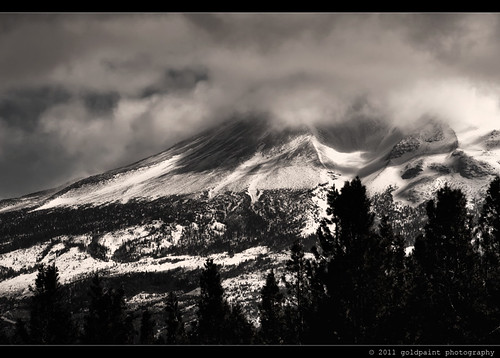 ca trees bw mountain snow storm northerncalifornia clouds forest weed unitedstates shasta norcal mountshasta 70200mmf28 d700 goldpaintphotography