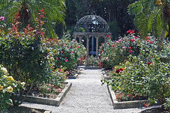 Mable Ringling rose garden