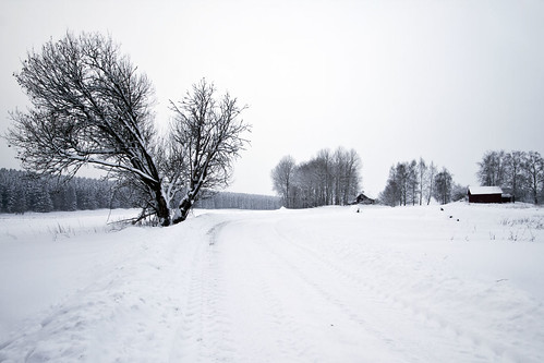 road winter snow tree sweden sverige östergötland sigma1020mmf456exdchsm bjärkasäby canoneos7d
