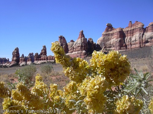 Wildflowers and rock towers in Chesler Park in Canyonlands National Park, Utah