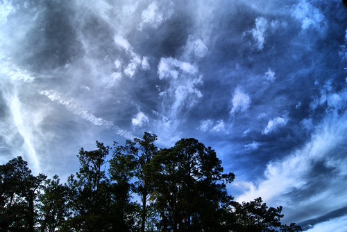 trees cloud tree clouds march florida gainesville hdr 2011