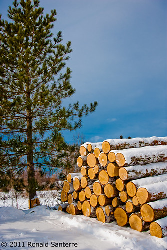 wood winter detail rural quebec hiver rurale ststanislas scierie woodmill ruraldetail ©ronaldsanterre